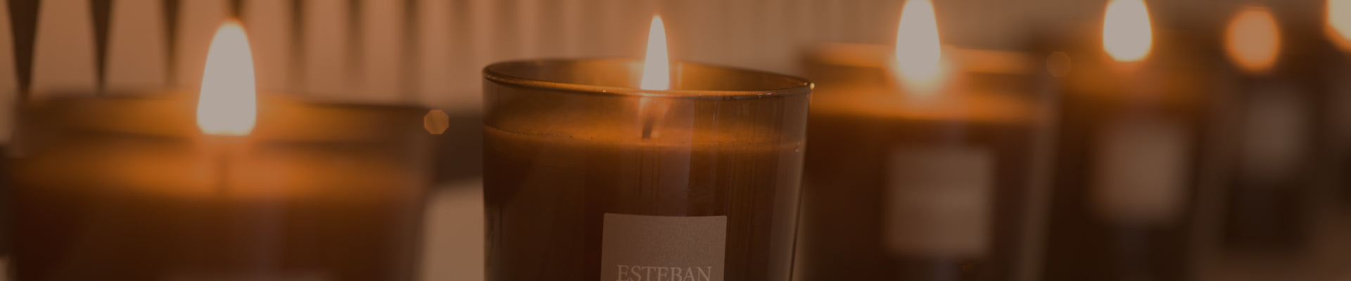 オンライン限定】Special Offer – ESTEBAN