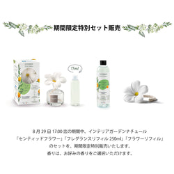 【期間限定販売】センティッドフラワー セット