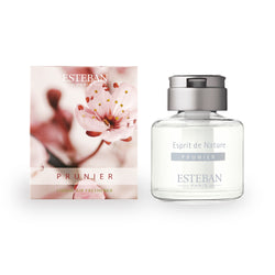 エスプリ ド ナチュールリキッドエアフレッシュナー プラム 88ml