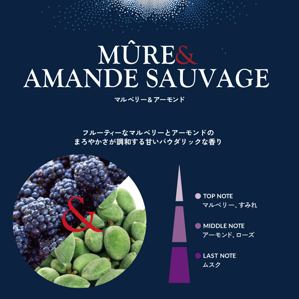 マルベリー&アーモンド フレグランスリフィル150ml – ESTEBAN