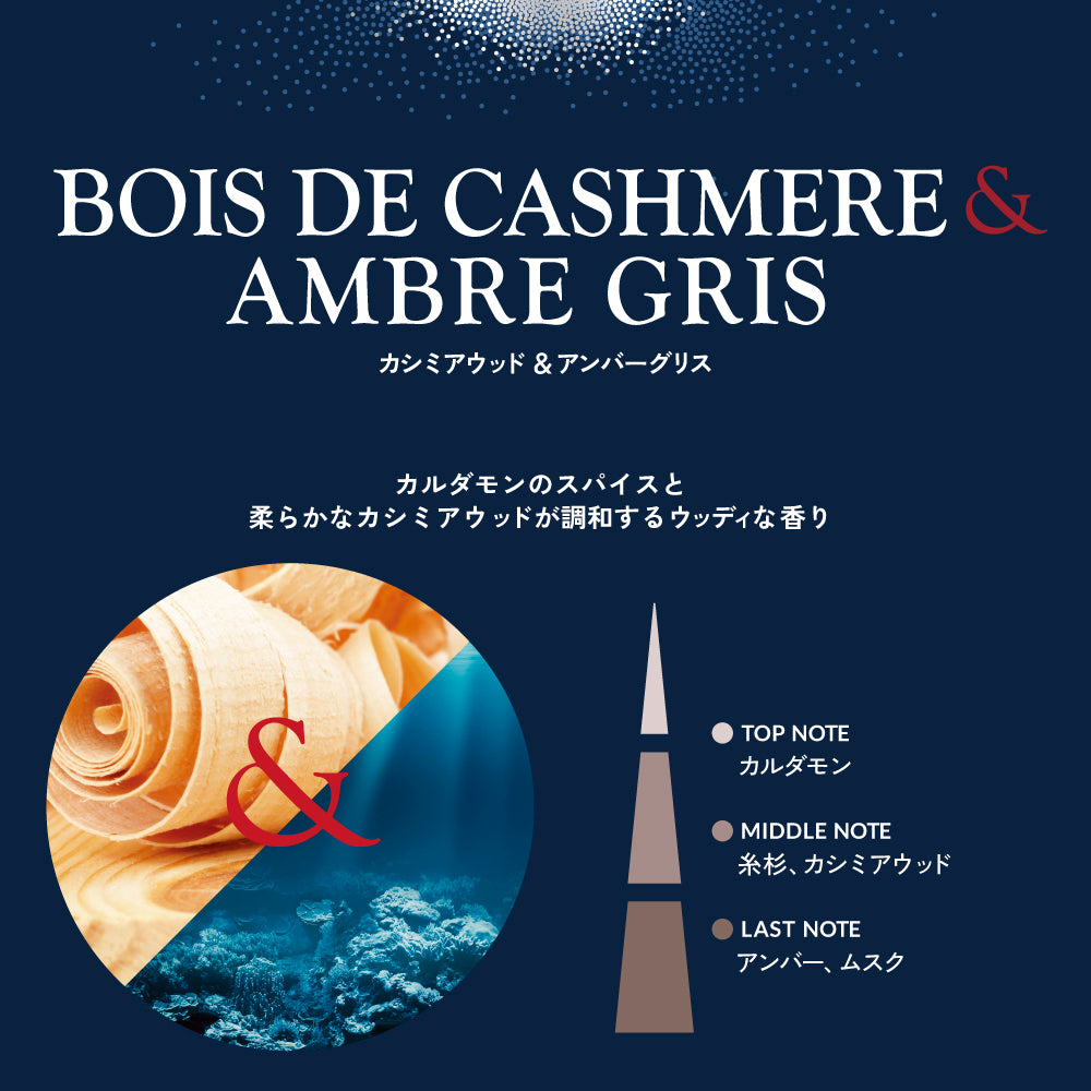 カシミアウッド&アンバーグリス フレグランスリフィル150ml – ESTEBAN