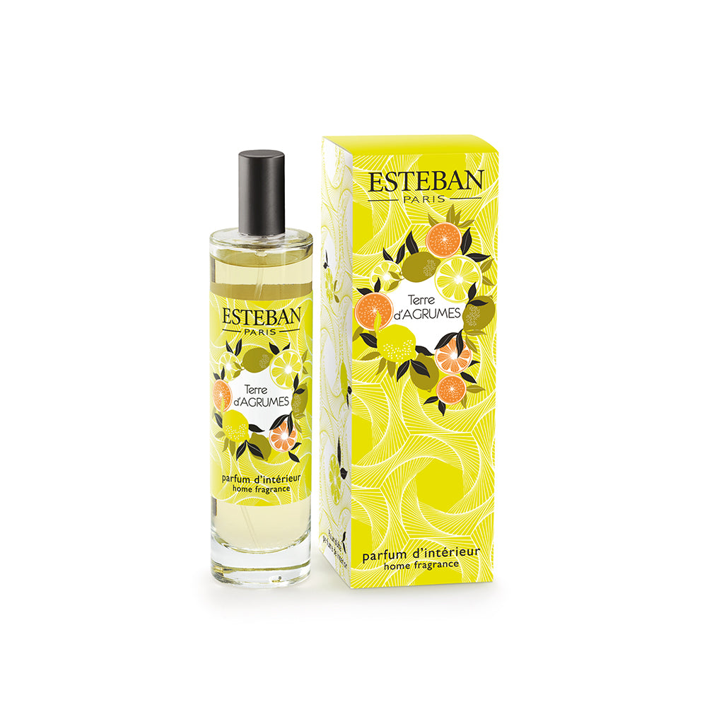 テール ダグリューム ルームスプレー100ml – ESTEBAN