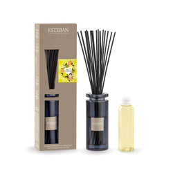 ≪送料無料&Wポイント≫ラタンブーケディフューザー&リフィルセット