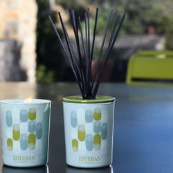 スー オリビエ デコラティブラタンブーケディフューザー