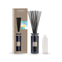 ≪送料無料&Wポイント≫ラタンブーケディフューザー&リフィルセット