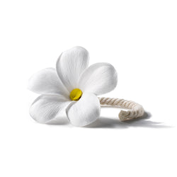 【数量限定】 フラワーリフィル