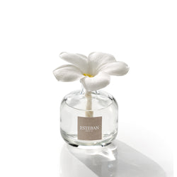 【数量限定】 フラワーリフィル