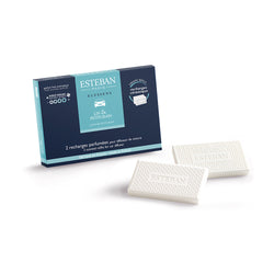 リネン&プチグレン CARフレグランスリフィル 2個入