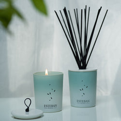 ピュアリネン デコラティブラタンブーケディフューザー