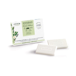 インテリアガーデン ナチュール  ブルーミングティー CARフレグランスリフィル 2個入