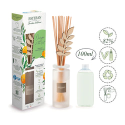 インテリアガーデンナチュール オレンジ&グリーンティー ラタンブーケディフューザー