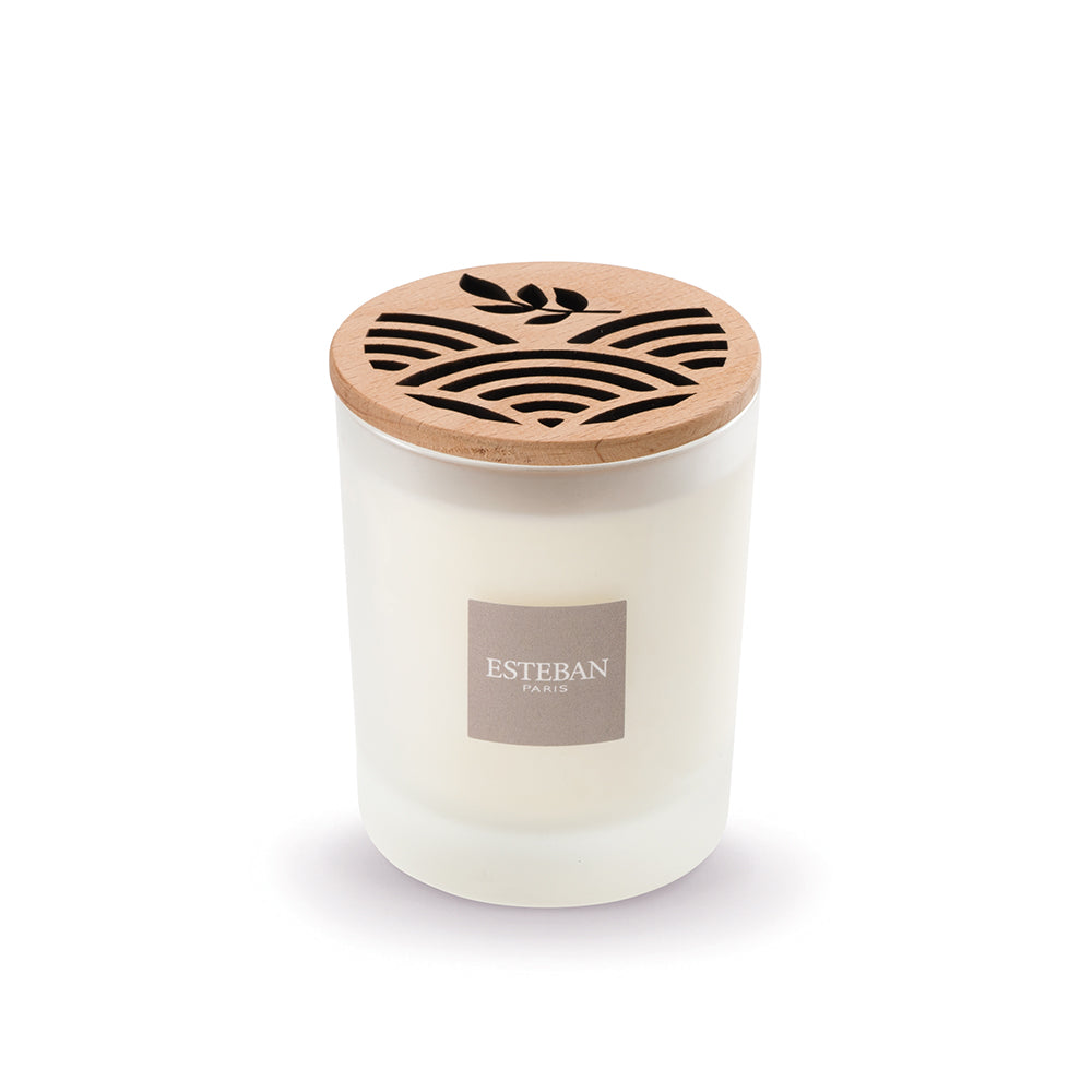 ESTEBAN 香りキャンドル 2種セット Candle – ESTEBAN