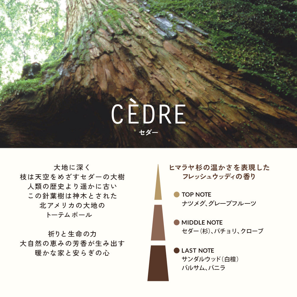 ESTEBAN キャンドル2個セット Candle – ESTEBAN