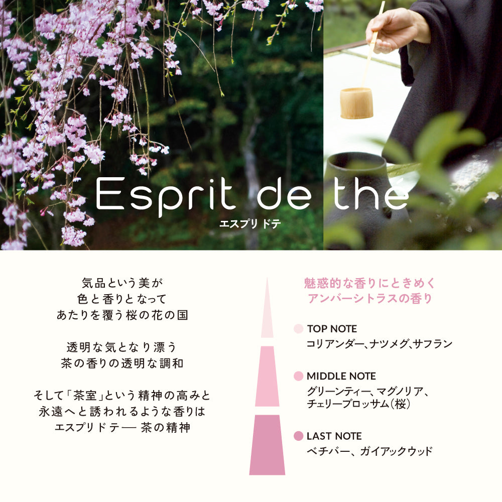 エスプリド テ CARフレグランス – ESTEBAN