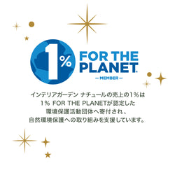 フロステッドマンダリン キャンドル