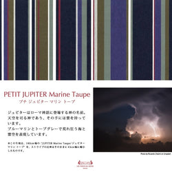 【LES TOILES DU SOLEIL】タオルハンカチ(プチ ジュピター マリン トープ)