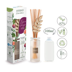 インテリアガーデンナチュール フィグツリー ラタンブーケディフューザー