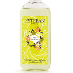 ≪送料無料&Wポイント≫ラタンブーケディフューザー&リフィルセット