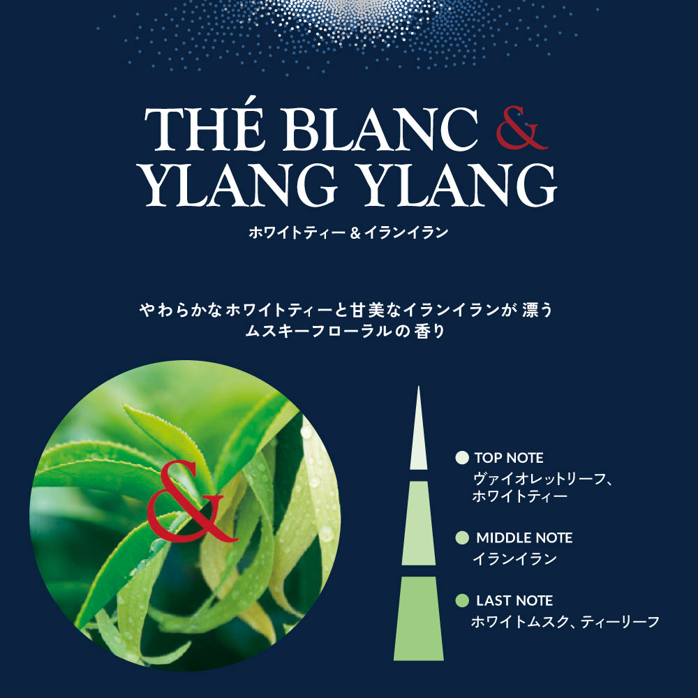 ホワイトティー&イランイラン CARフレグランス – ESTEBAN