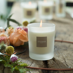 インテリアガーデンナチュール サマージャスミン キャンドルリフィル