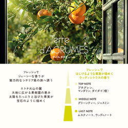 テールダグリューム CARフレグランスリフィル 2個入