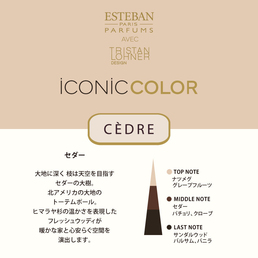 セダー シャンパーニュ ディフューザー 250ml – ESTEBAN