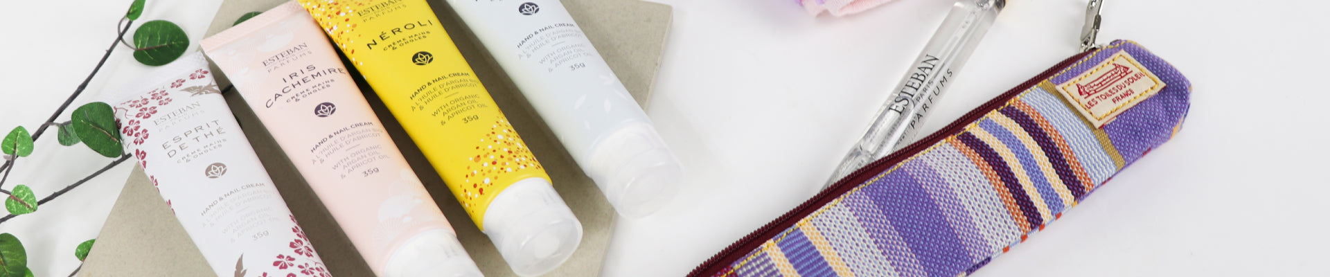 LES TOILES DU SOLEIL×ESTEBAN