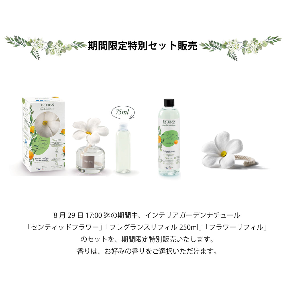 【期間限定販売】センティッドフラワー セット