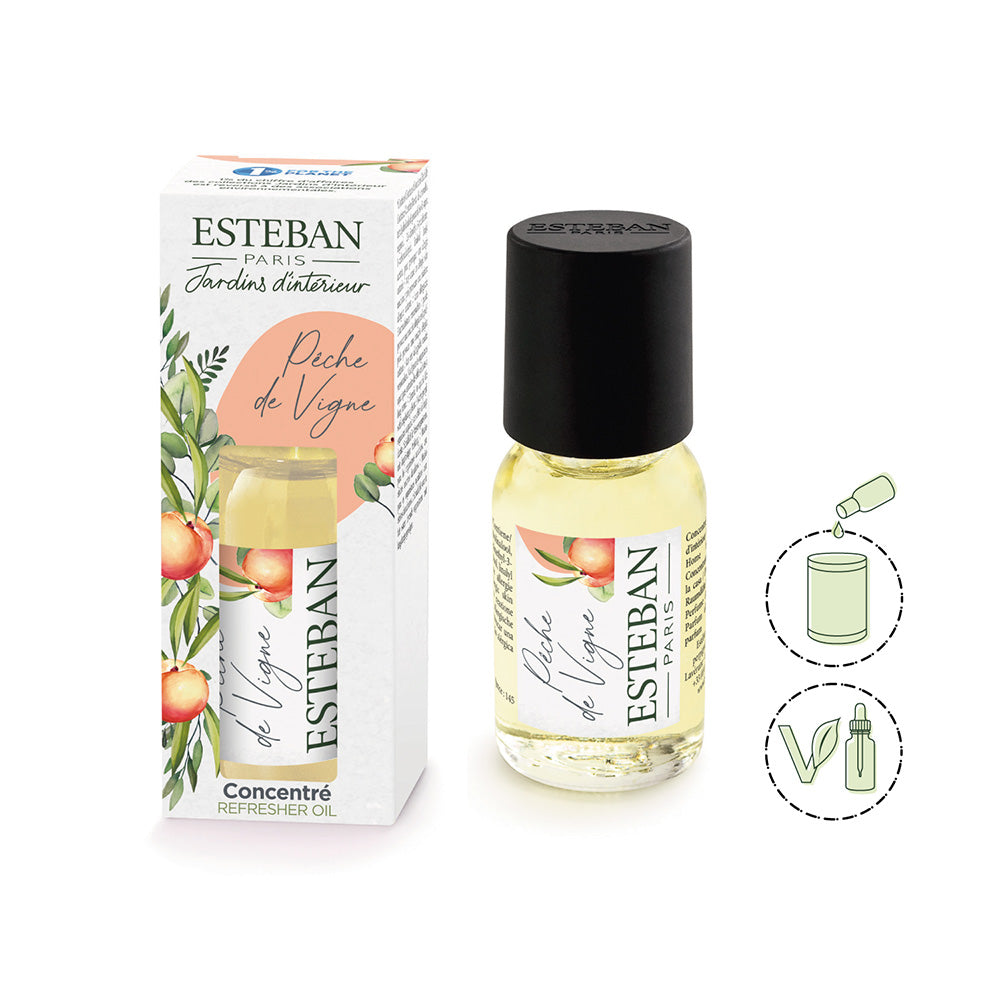 Refresher oil – ESTEBAN