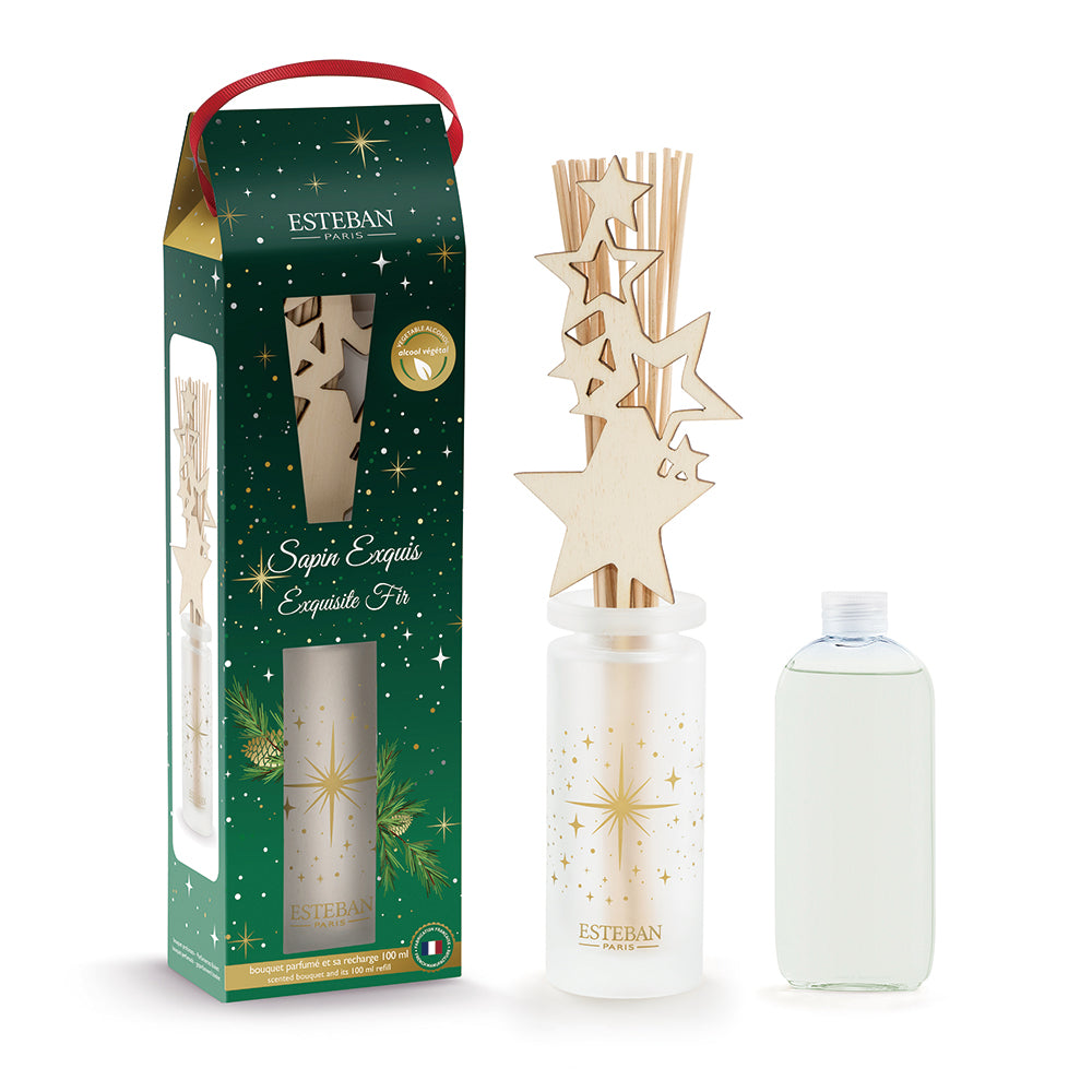 Diffuser – ESTEBAN