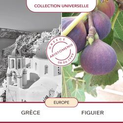 フィグツリー ディフューザー 100ml