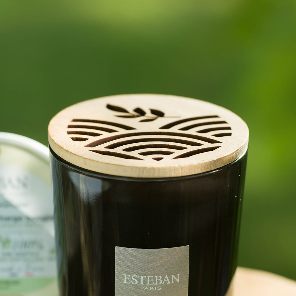 Accsessories – ESTEBAN