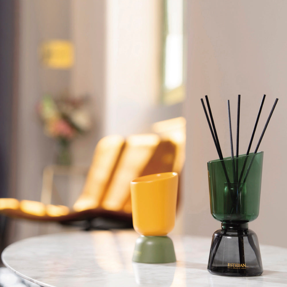 iCONiC COLOR – ESTEBAN