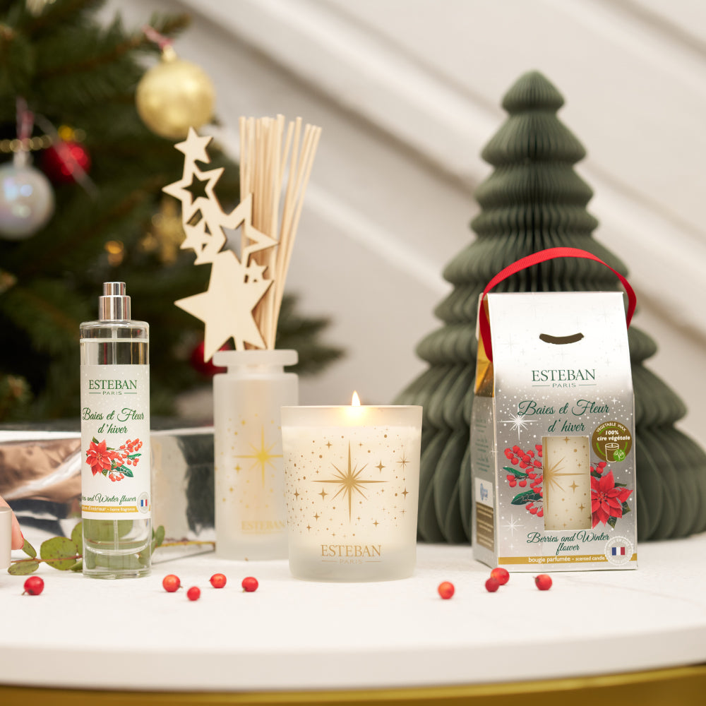 Edition Noël – ESTEBAN