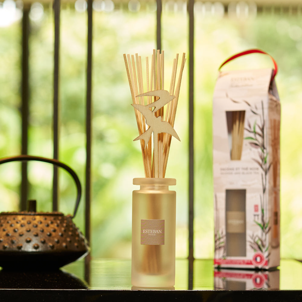 ESTEBAN ホワイトティー ボディローション＆ハンドウォッシュセット ESTEBAN ホワイトティー ボディローション＆ハンドウォッシュセット